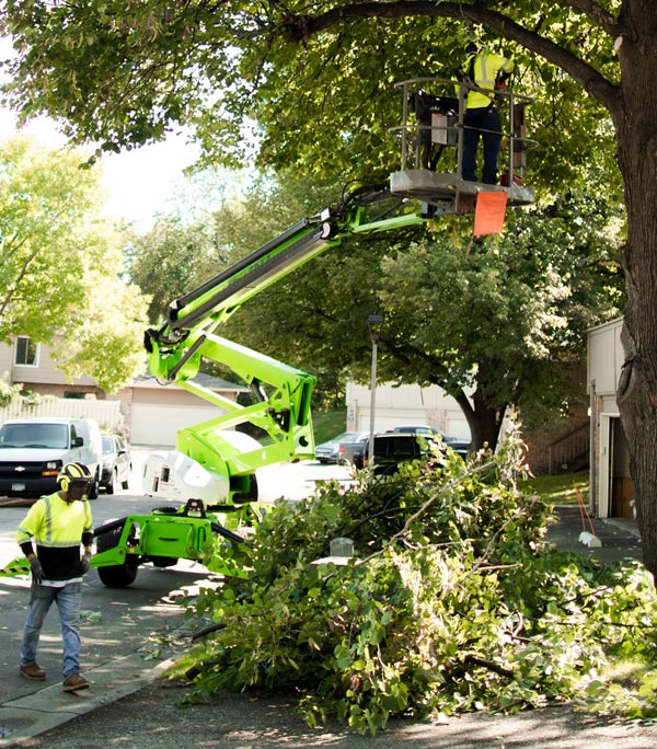 storm damage