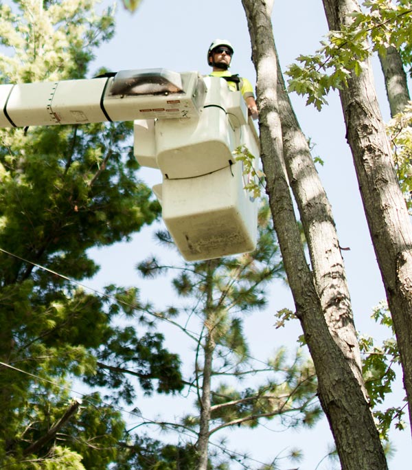 utility management
